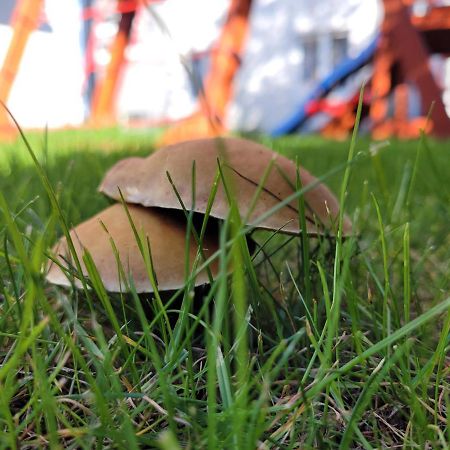 Apartamenty Morski Brzeg - Sauna, Balia Władysławowo Buitenkant foto